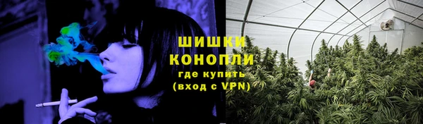 ALPHA-PVP Новозыбков