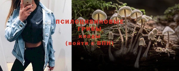 МДПВ Алзамай