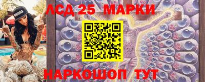 гашик Кулебаки