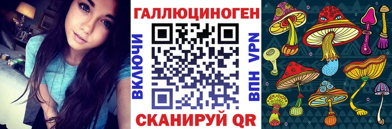 гидра ONION  Новосибирск  Псилоцибиновые грибы Magic Shrooms 